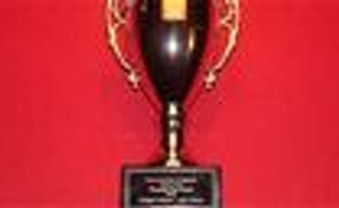 «Трофеи» в играх для PS3 появятся с прошивкой 2.4?