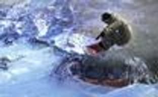 Ubidays 2008: симулятор сноубординга Shaun White Snowboarding для PC, PS3 и Xbox 360