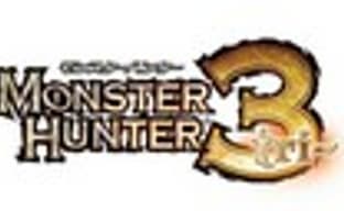 Читеров в Monster Hunter 3 банят на 8 тыс. лет