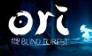 PC-версия Ori and the Blind Forest: Definitive Edition задержится