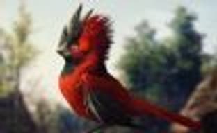 Что-то будет: третий ролик Sony о CD Projekt Red посвящён карточным играм