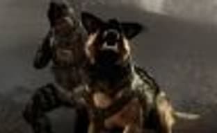 Activision не нравится, что компания, оказывающая услуги по уборке за домашними животными, называется Call of Doodee