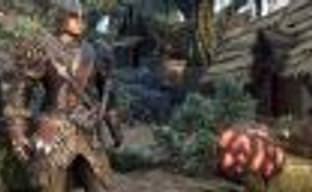 Подробности о ролевой игре Elex от создателей Gothic и Risen