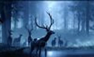 Halo Infinite без поддержки Xbox Play Anywhere?