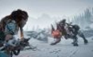 В одной из ранних версий Horizon: Zero Dawn был кооператив на двоих