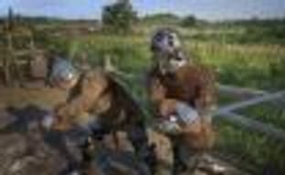 Kingdom Come: Deliverance без Denuvo и Season Pass, новая демонстрация игры