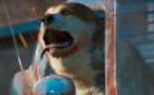 Хакеры взломали Far Cry: New Dawn