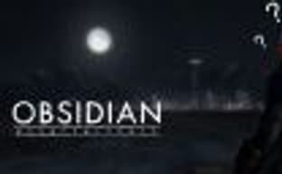 В не анонсированной ролевой игре от Obsidian не будет контейнеров и микротранзакций