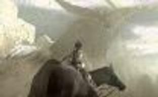 Ремейк Shadow of the Colossus можно будет запустить при 60к/c