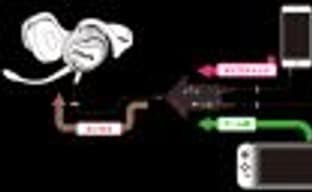 Nintendo продолжает удивлять странными решениями, связанными с реализацией голосового общения в играх для Switch