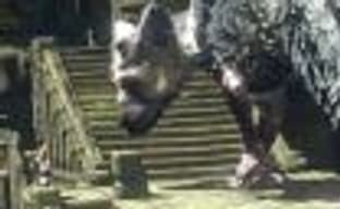 Представитель Sony считает, что The Last Guardian оправдает все ожидания