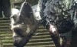 Почему Sony не показывала The Last Guardian на последней пресс-конференции