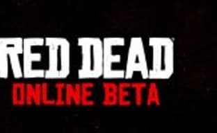 Мультиплеер появится в Red Dead Redemption 2 после релиза