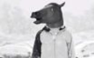 Новые «высоты» фантазии разработчиков: лошадь на сноуборде в игре Snow Horse