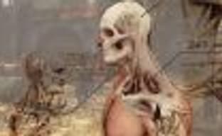 Авторы The Witcher 3 хотели добавить в игру аналог системы VATS из Fallout