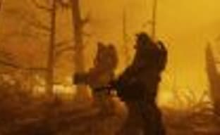 Тодд Говард больше всего сожалеет о том, что мало внимания уделил бета-версии Fallout 76