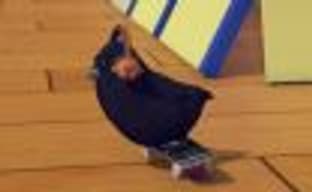 Epic Games не хочет выпускать игру SkateBIRD в своём магазине, поскольку создатели не отказываются от Steam