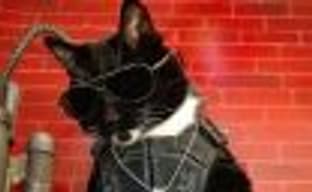 Годный косплей Киану на зависть: энтузиасты превратили кота в персонажа из Cyberpunk 2077