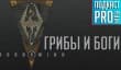 [5.22] Подкаст PRO игры: грибы и боги