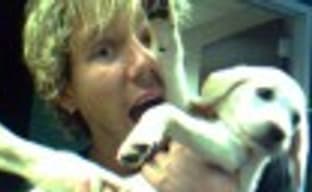 Портрет казуального игрока-2008 – версия от Big Fish Games и Alawar Entertainment