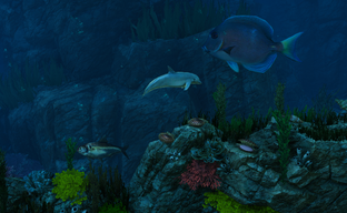 Первый эксклюзив Xbox Series X. Знакомимся с Orphan of the Machine