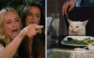 В The Sims 4 воссоздали мем «девушка орёт на кота»