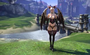 Западный издатель MMORPG TERA объявил о своем закрытии