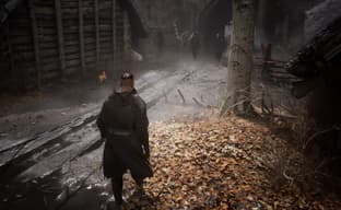 Боевая ролевая игра с атмосферой «Ведьмака». Появился геймплейный трейлер The Vernyhorn