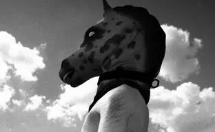 Epic Games Store передумал продавать HORSES, углядев в хорроре про лошадиную ферму «пропаганду насилия над животными»