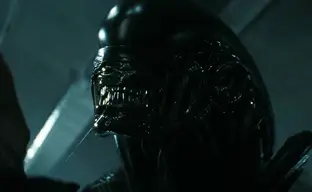 Noah Hawley Comments on Possible "Predator" and "Alien" Crossover in "Alien: Romulus" Series