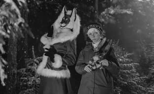 Заяц и Лиса: косплееры воплотили образы Антона Петрова и Алисы из хоррор-новеллы «Зайчик»