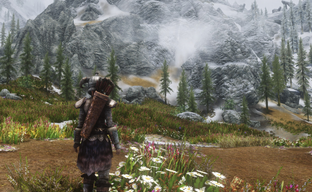 Блогер посчитал количество деревьев в TES V: Skyrim и получил подсказку от Тодда Говарда о контенте The Elder Scrolls VI