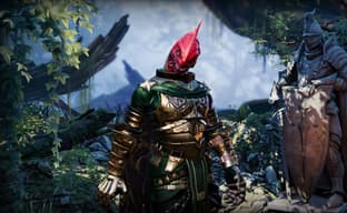 Fans ask Larian not to consider community feedback when creating companions in Divinity