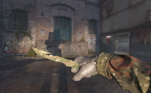 Россиянин стал репетитором по Counter-Strike 2 и раскрыл ежемесячный заработок