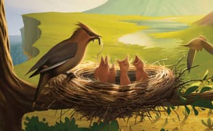 Предзаказ на делюкс-версию настольной игры «Птенцы» открылся в России