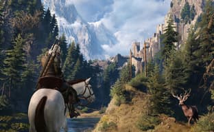 Аналитики прогнозируют скорый релиз DLC к The Witcher 3 – акции CD Projekt растут