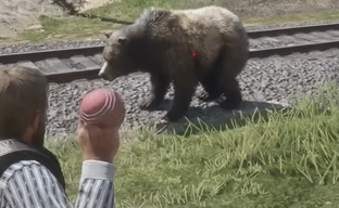 Моддер превратил Red Dead Redemption 2 в Pokemon — добавил ловлю зверей в покеболы и битвы существ