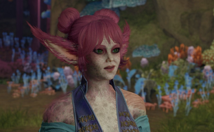 У Obsidian не хватило нарративщиков для Avowed — новые расы остались без уникальных реплик