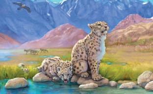 Открылся предзаказ на «Природу» — настольную игру про эволюционное развитие животных