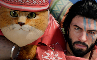 Crimson Desert стала инклюзивнее и геймеры недовольны — призывают вернуть старое название для толстых котов