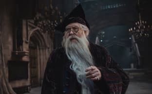 Никаких «Фантастических тварей»: HBO не планирует превращать перезапуск «Гарри Поттера» в киновселенную Marvel