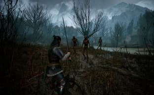 Раскрыта продолжительность The Blood of Dawnwalker от авторов The Witcher 3