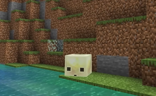 Выруский Minecraft — стартовал тест 26.2 Snapshot 6 с новым биомом, мобом и локализациями