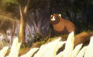 В духе Studio Ghibli: анонсировано терапевтическое аниме «Ты хочешь быть тануки?» — показали первый тизер