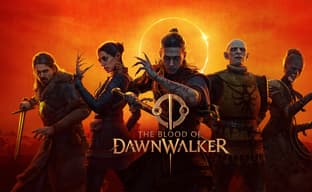 Разработчики The Blood of Dawnwalker рассказали об изданиях игры, коллекционке и бонусах за предзаказ 
