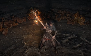 Бесплатная Path of Exile 2. Джонатан Роджерс рассказал о подарках и новой акции