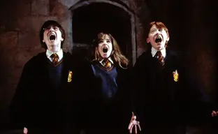 Крис Коламбус не вернётся к работе над «Гарри Поттером» в перезапуске от HBO