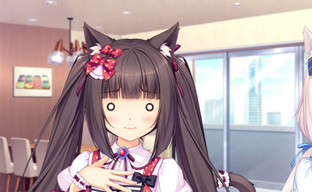 «Законность — не определяющий фактор»: активистки, добившиеся удаления игр из Steam, неудовлетворены системой модерации