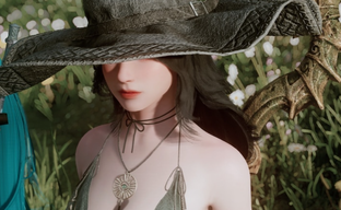 Управление модами Skyrim выйдет на новый уровень — для приложения Nexus Mods готовится улучшение