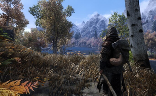 Спустя 14 лет баги Skyrim продолжают удивлять — геймер заметил ошибку с цветом медведей